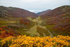 Грузия, Аджария
